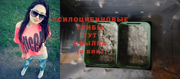 спиды Гусиноозёрск