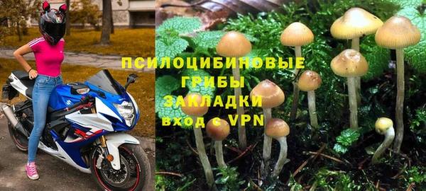 ALPHA-PVP Горняк