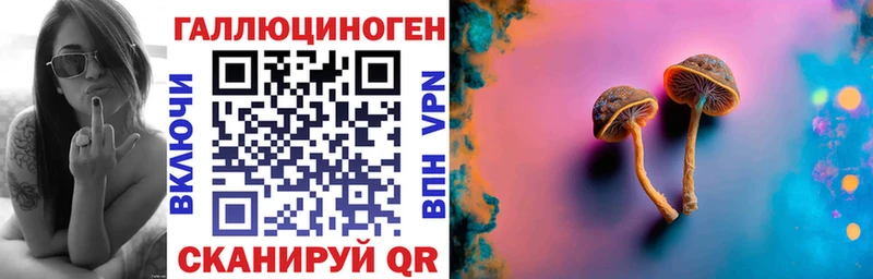Псилоцибиновые грибы Cubensis  маркетплейс состав  Новошахтинск 
