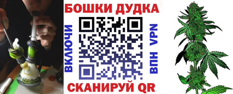 Шишки марихуана планчик Новошахтинск